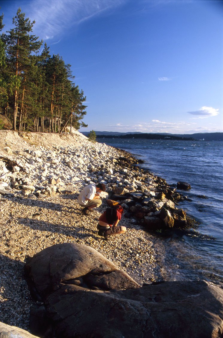 fotka / image u sldovho lomu, Norsko - u Svena a zase v Oslo