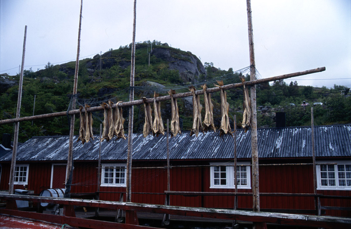 fotka / image skanzen Nusfjord, Norsko - Svartisen a Lofoty