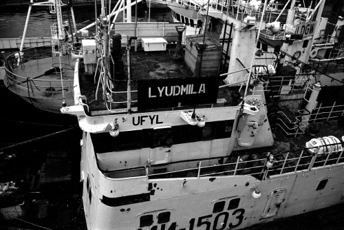 foto / image lo Lyudmila