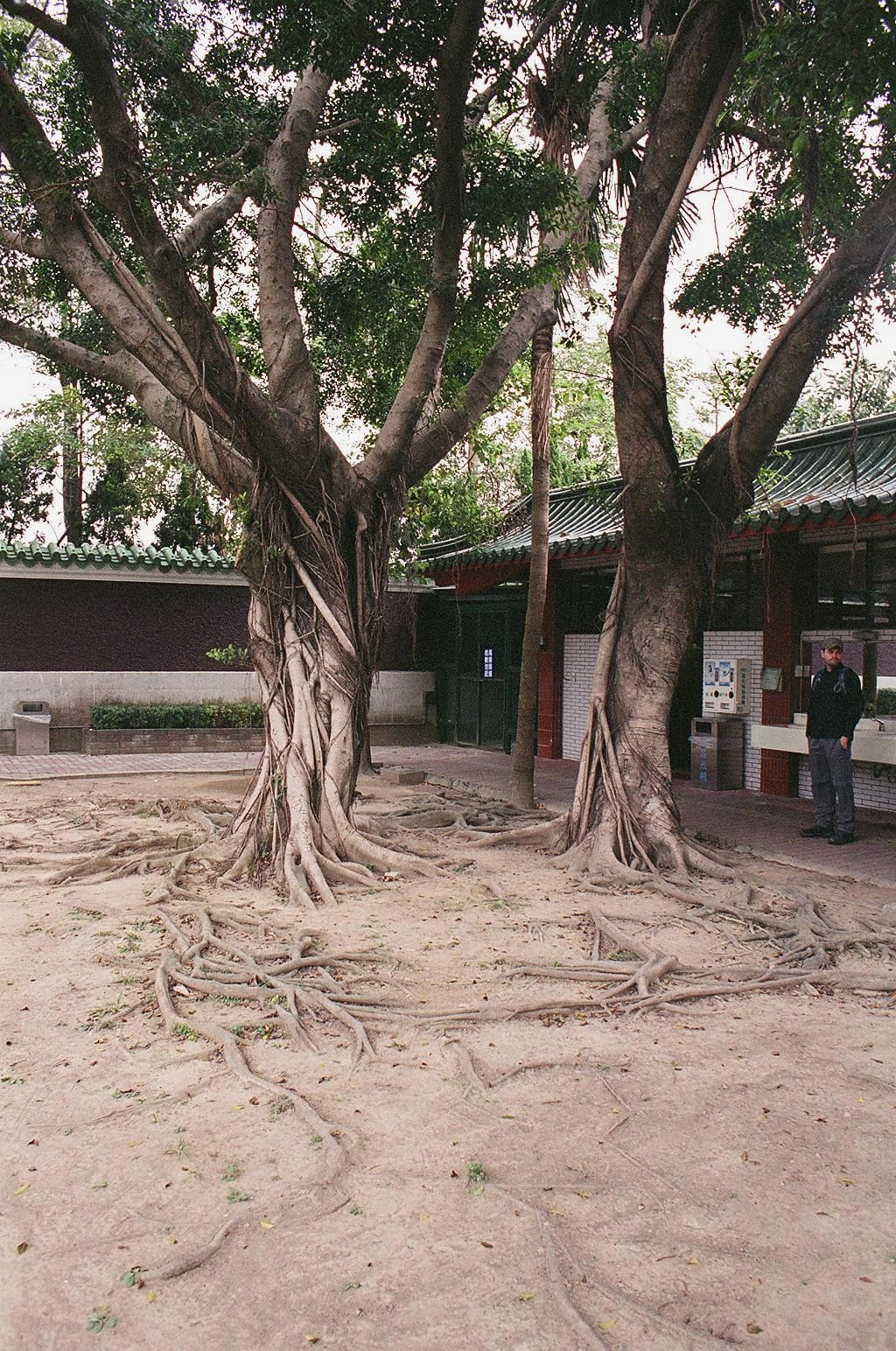 fotka / image pamatnik padlych, vojenske muzeum, Taipei, Taiwan