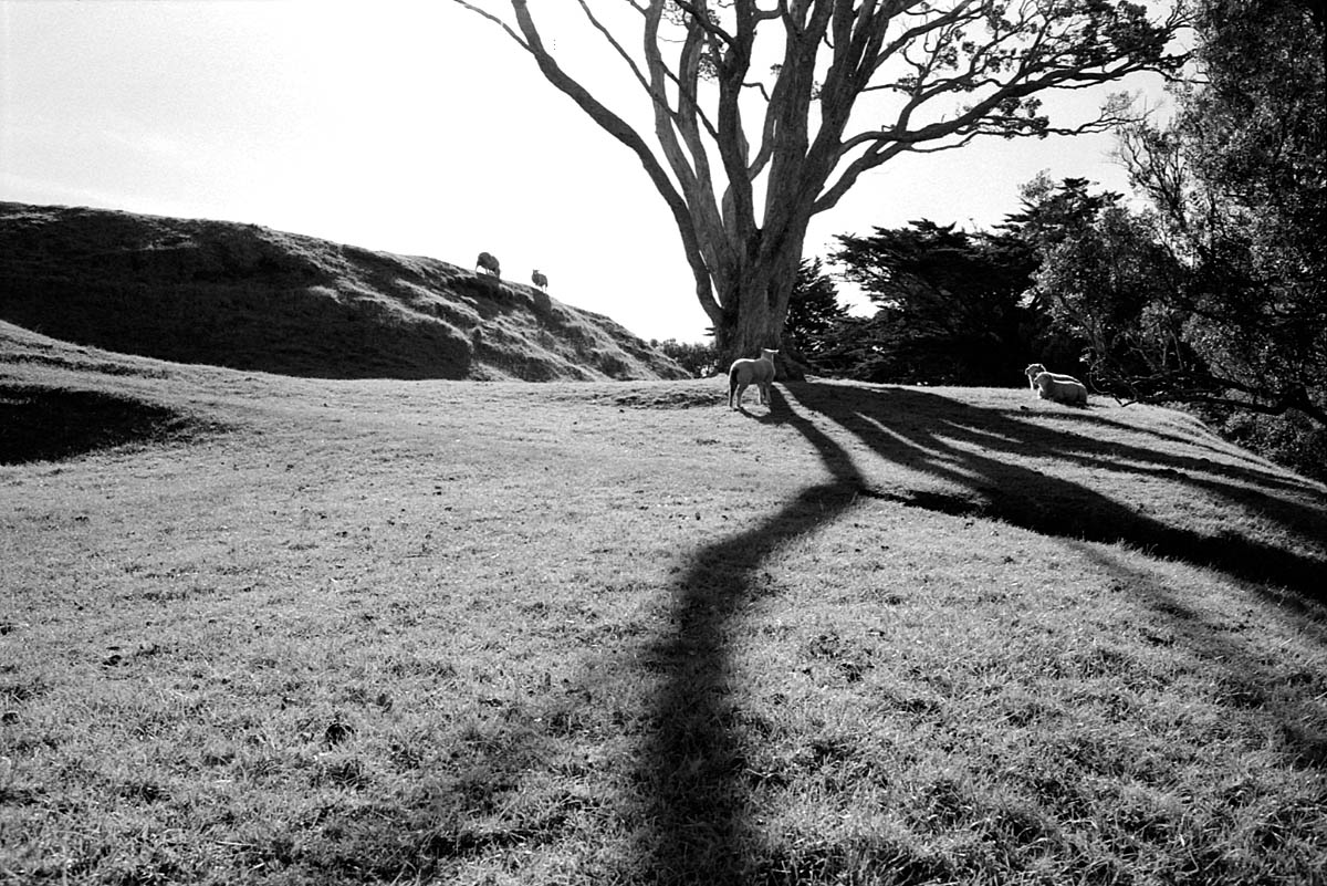 fotka / image One Tree Hill, Auckland v lt, New Zealand