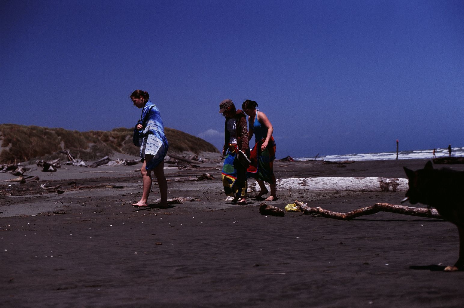 fotka / image cerne plaze Taranaki, z Aucklandu do Wellingtonu