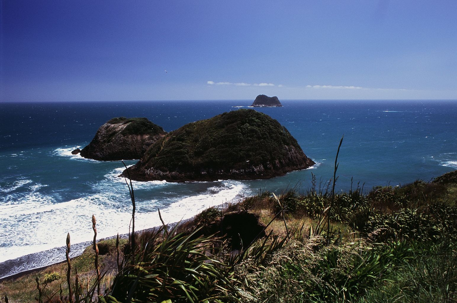 fotka / image New Plymouth, z Aucklandu do Wellingtonu