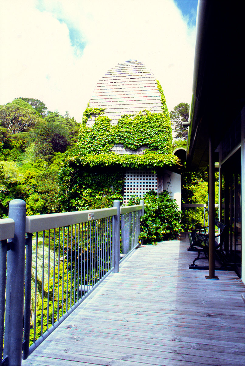 fotka / image vtah v Botanic Gardens, Wellington, New Zealand