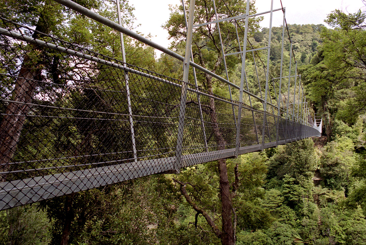 fotka / image swingbridge pes Waiohine Gorge, cestovn s Broou a s Igorom, New Zealand