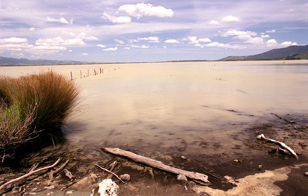 fotka / image lake Wairarapa. na map mode, ale jinak chcnky, cestovn s Broou a s Igorom, New Zealand