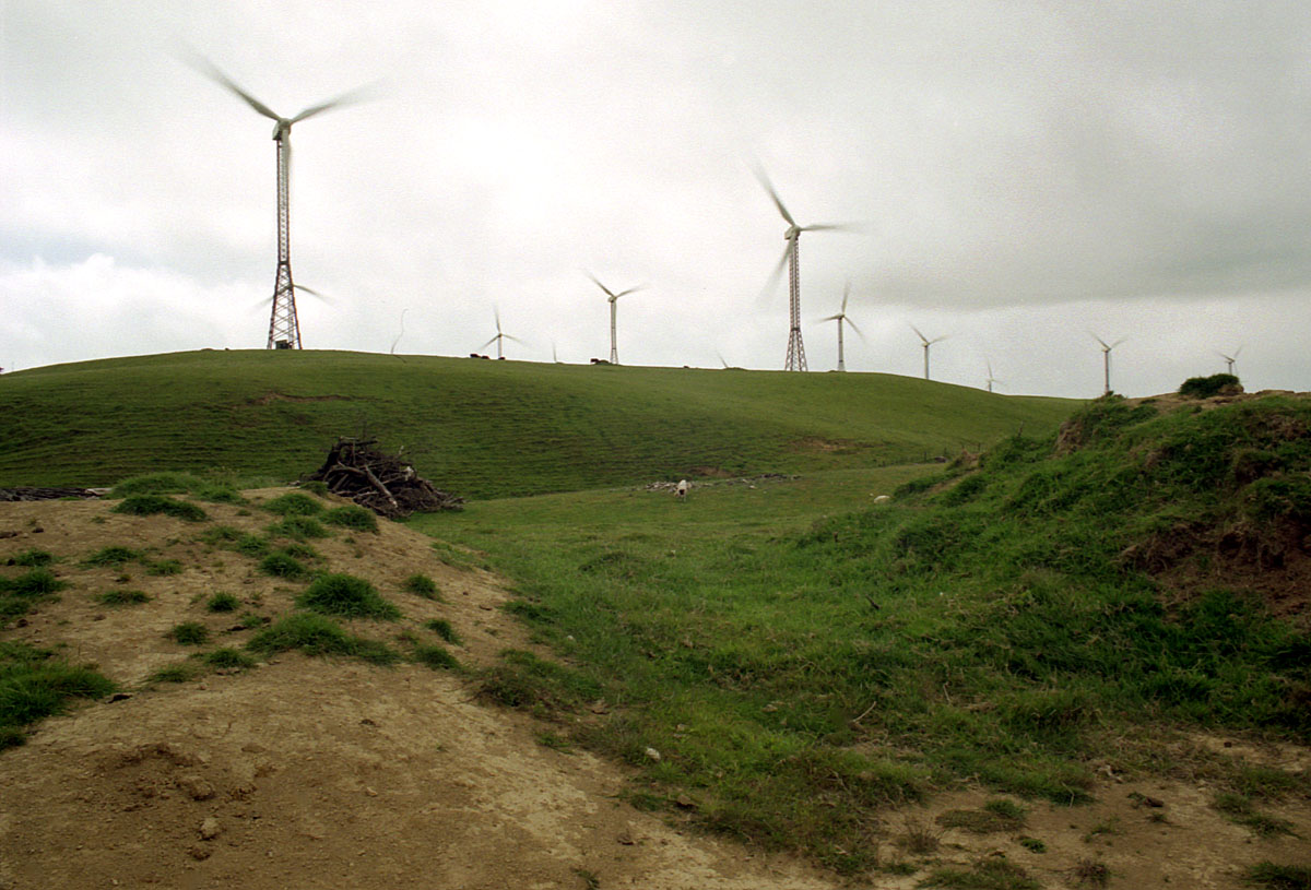 fotka / image Te Apiti windfarm. Nejvt na jin polokouli., cestovn s Broou a s Igorom, New Zealand