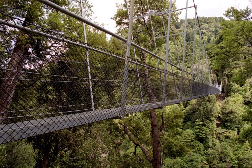 foto / image swingbridge přes Waiohine Gorge