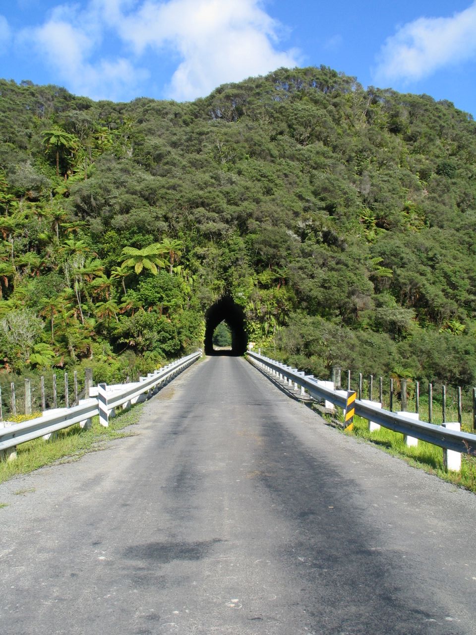 fotka / image most v Zapomenutem svete, New Zealand