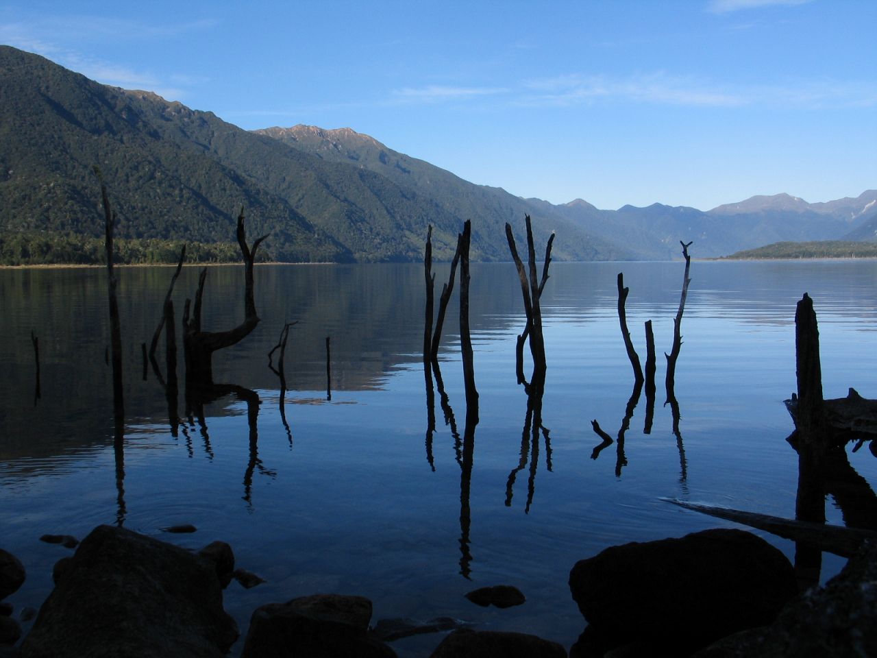 fotka / image Lake Monowai, New Zealand