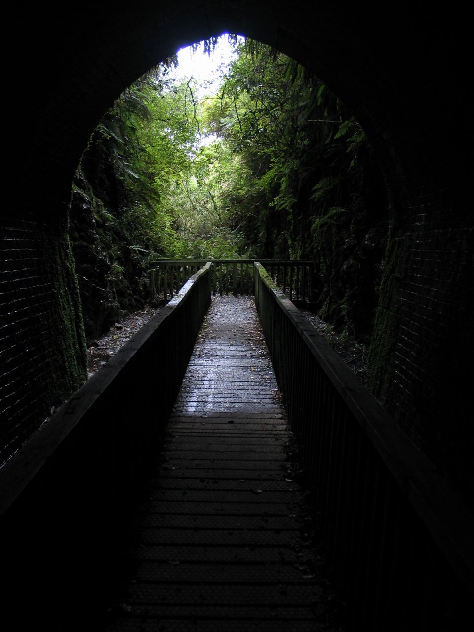 fotka / image tunel stare zeleznice, New Zealand
