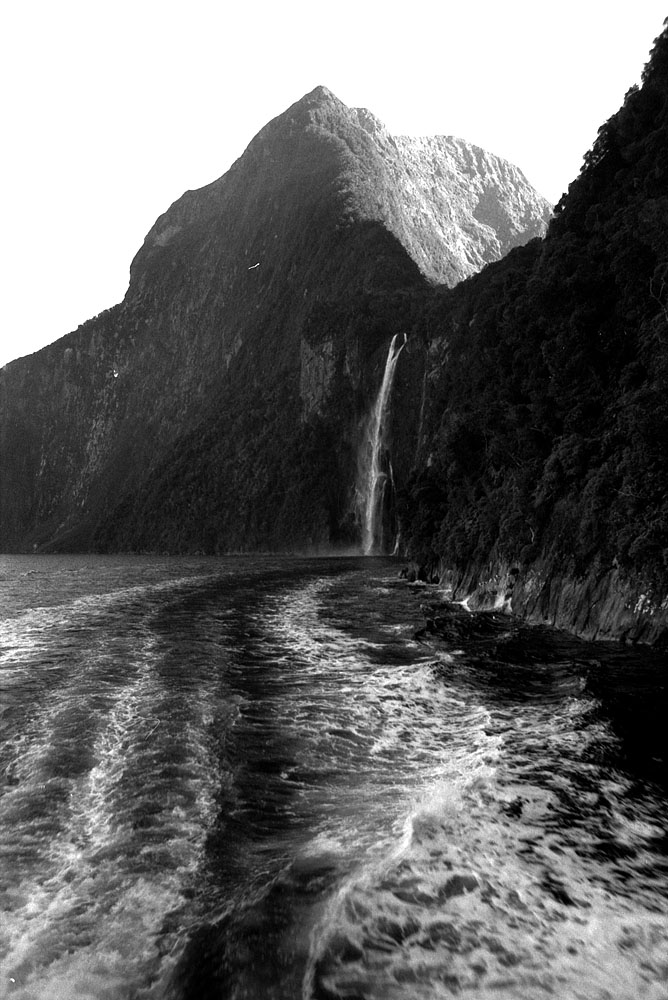 fotka / image vodopady v Milford Sound, New Zealand, black&white