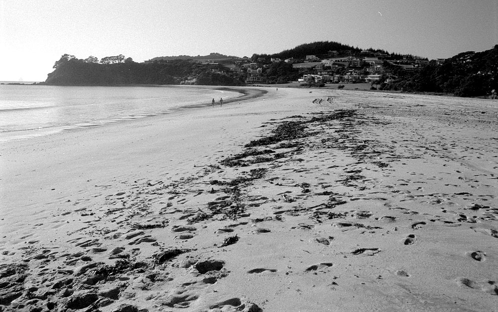 fotka / image plaze na severu, New Zealand, black&white