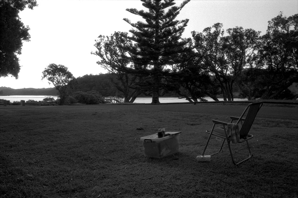 fotka / image v parku na North Shore, New Zealand, black&white