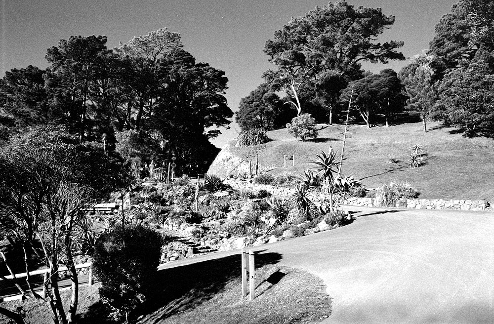 fotka / image Wellington - Botanic Garden, New Zealand, black&white