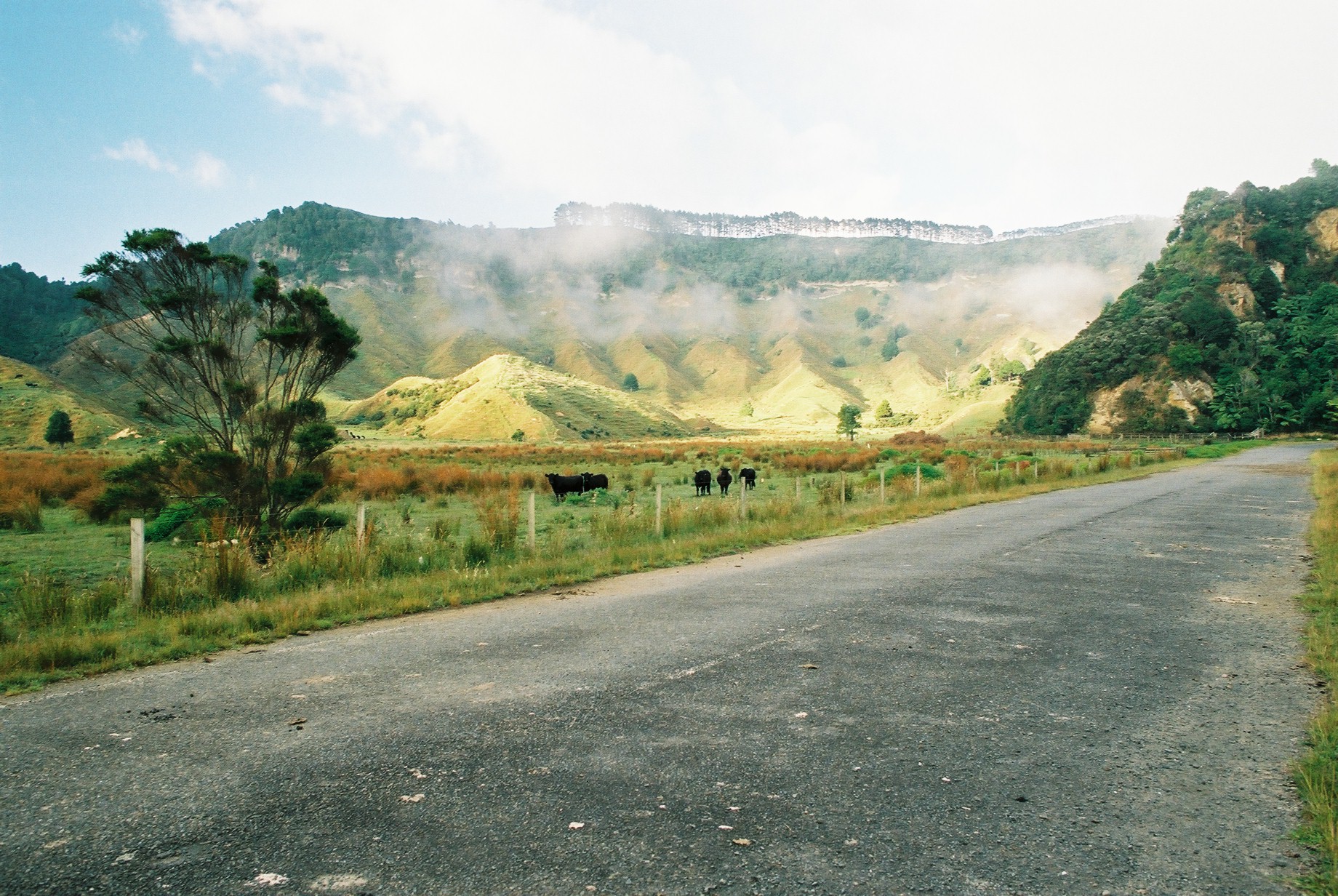 fotka / image Severn ostrov, color negatives, New Zealand