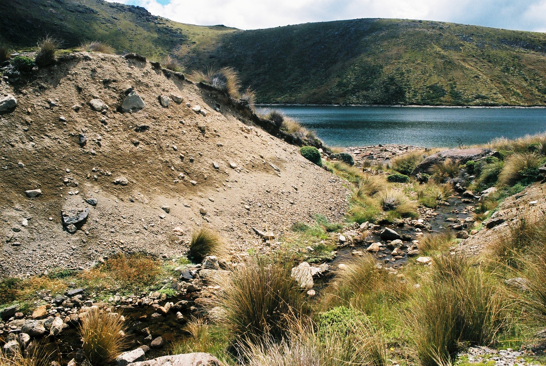 fotka / image Kahurangi National Park, color negatives, New Zealand
