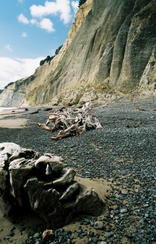 foto / image Cape Kidnappers