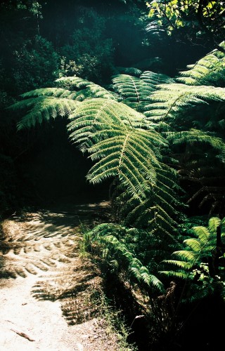 foto / image Abel Tasman National Park