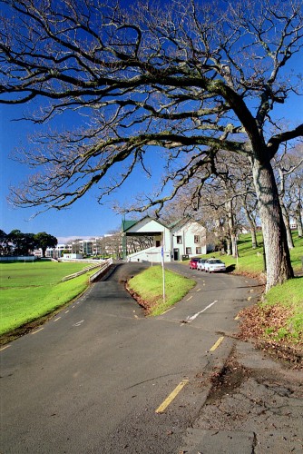 foto / image Auckland domain