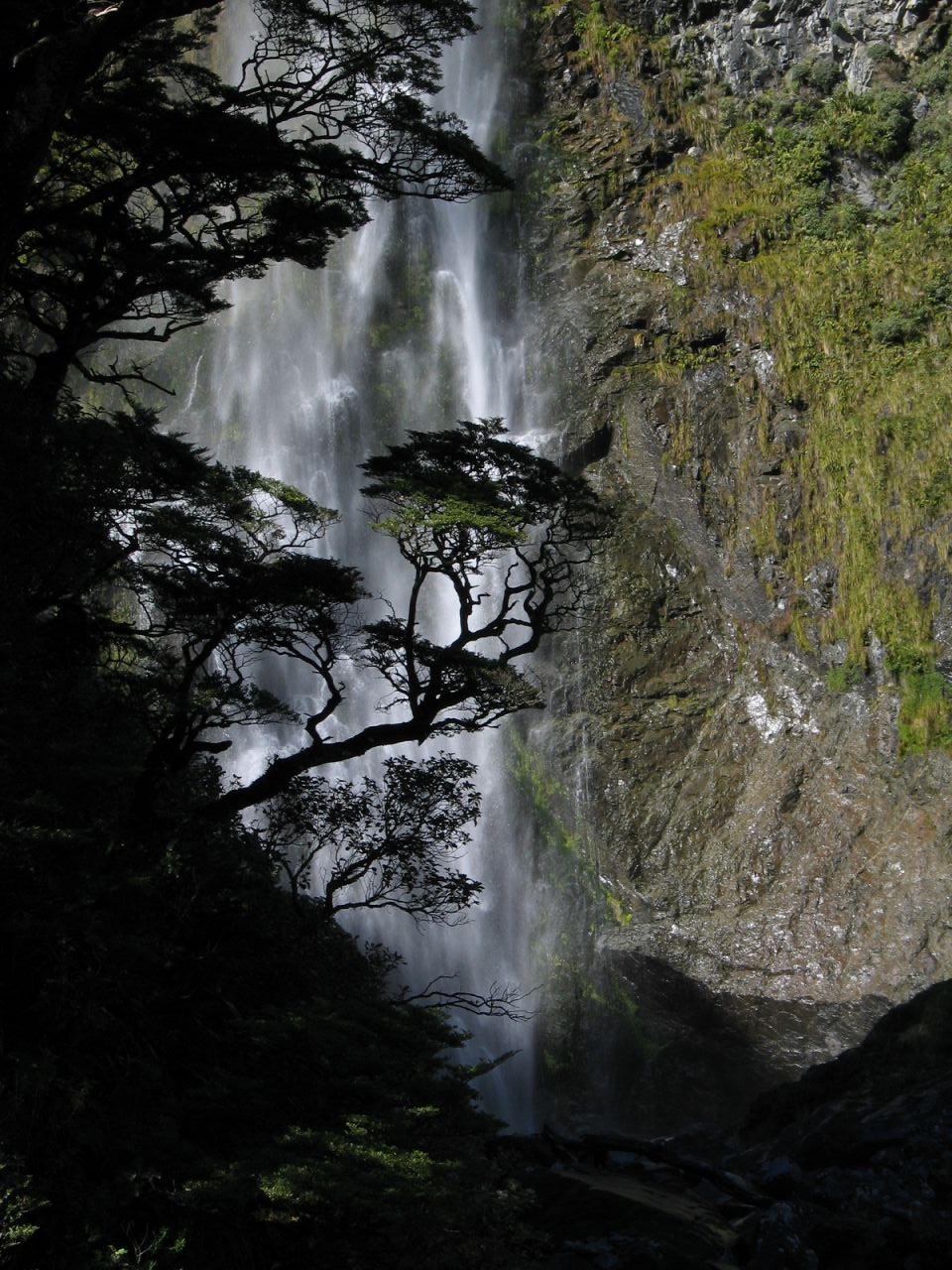fotka / image Devil's Punchbowl Falls, New Zealand, kolekce E
