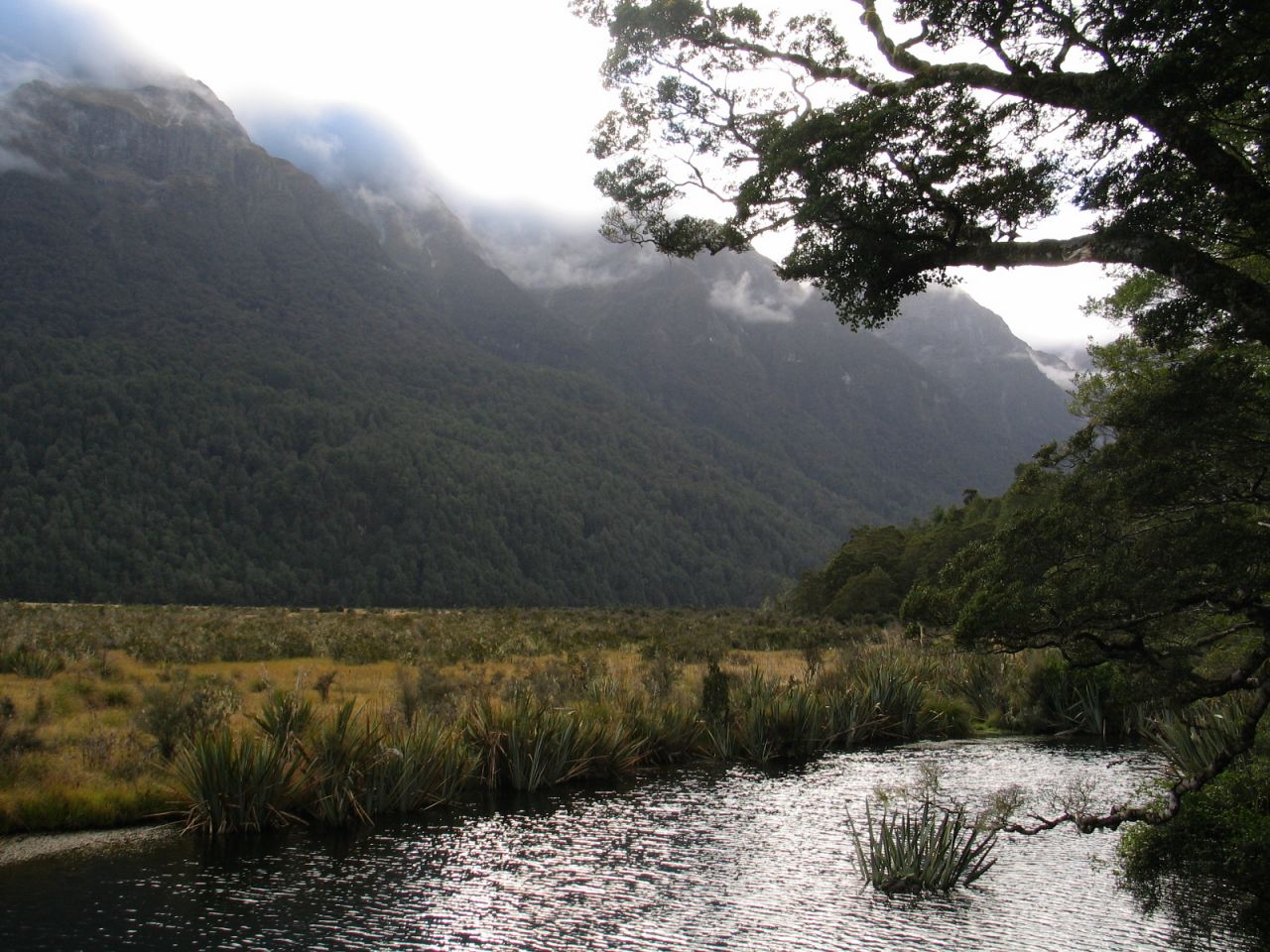 fotka / image cestou z Te Anau k Milford Sound, New Zealand, kolekce E