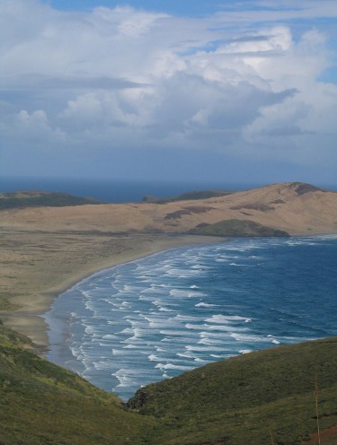 foto / image maorský vlny