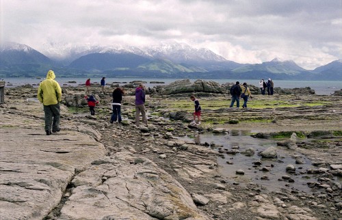 foto / image turisti hledají tuleně