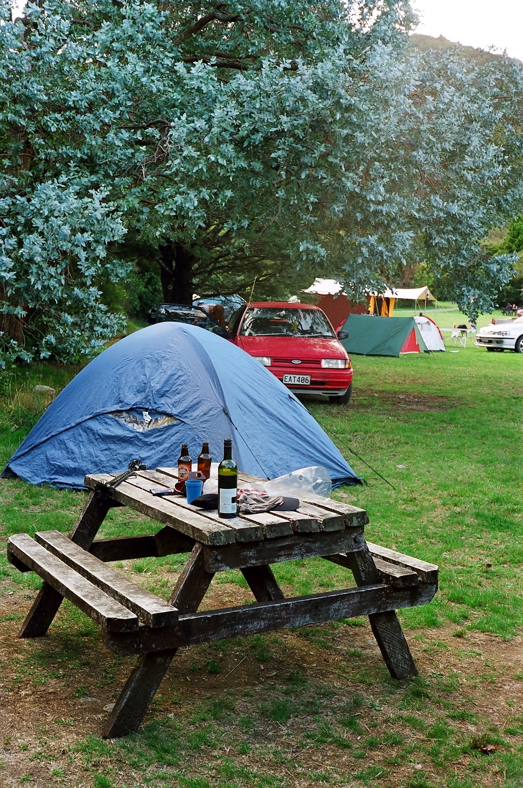 fotka / image Holdsworth Camp, Castlepoint po tvrt, New Zealand
