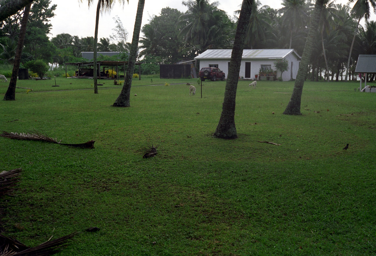 fotka / image dm domcch, Cook Islands