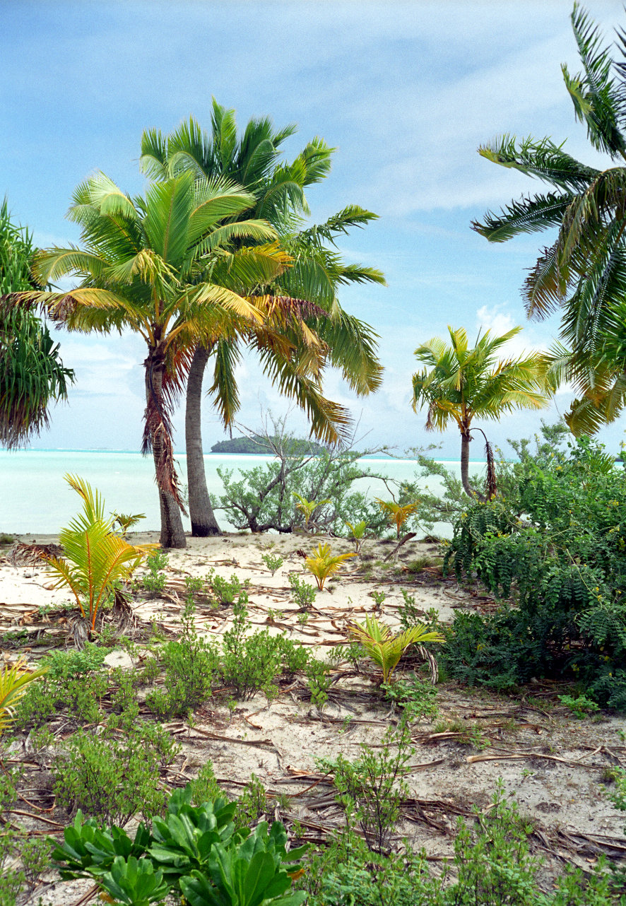 fotka / image One Foot Island, Cook Islands